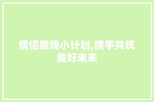 情侣攒钱小计划,携手共筑美好未来