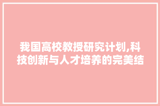 我国高校教授研究计划,科技创新与人才培养的完美结合