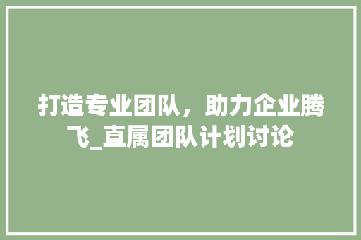 打造专业团队，助力企业腾飞_直属团队计划讨论