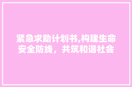 紧急求助计划书,构建生命安全防线，共筑和谐社会