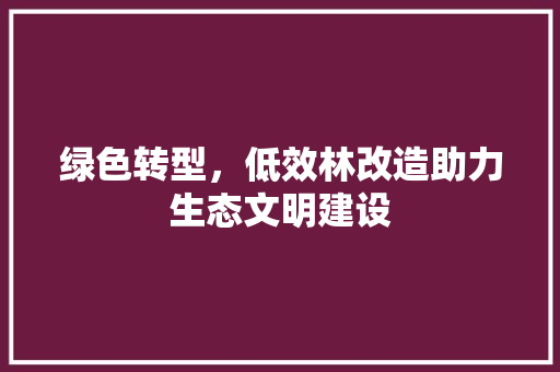 绿色转型，低效林改造助力生态文明建设