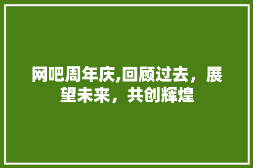 网吧周年庆,回顾过去，展望未来，共创辉煌