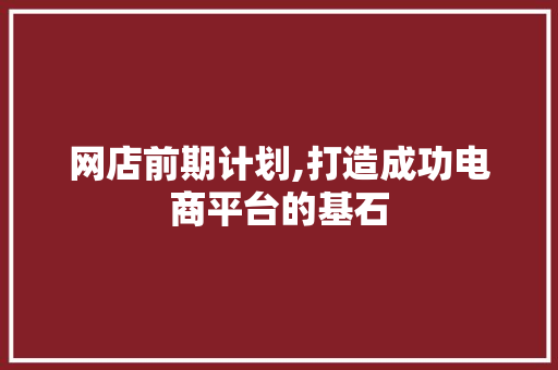 网店前期计划,打造成功电商平台的基石