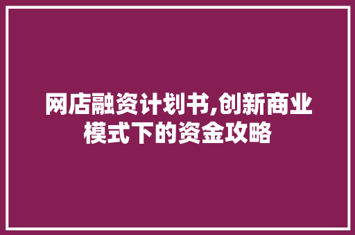 网店融资计划书,创新商业模式下的资金攻略