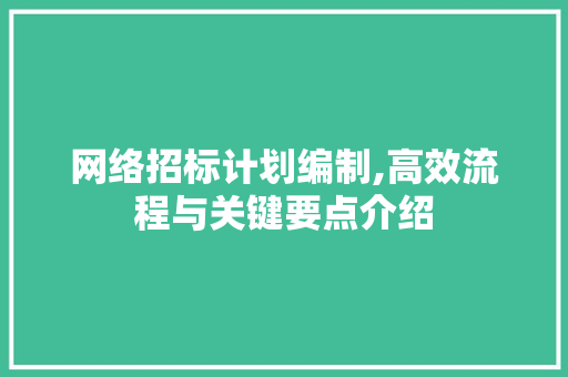 网络招标计划编制,高效流程与关键要点介绍