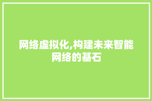 网络虚拟化,构建未来智能网络的基石