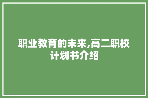 职业教育的未来,高二职校计划书介绍