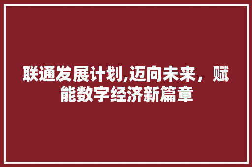 联通发展计划,迈向未来，赋能数字经济新篇章