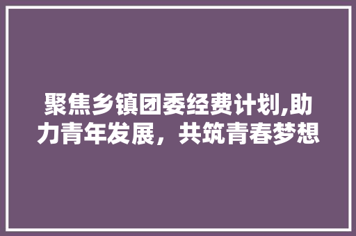 聚焦乡镇团委经费计划,助力青年发展，共筑青春梦想