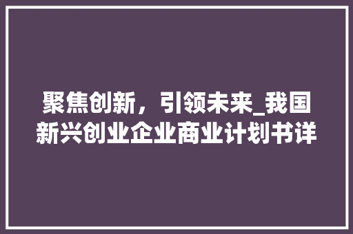 聚焦创新，引领未来_我国新兴创业企业商业计划书详细介绍