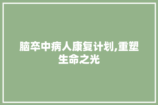 脑卒中病人康复计划,重塑生命之光