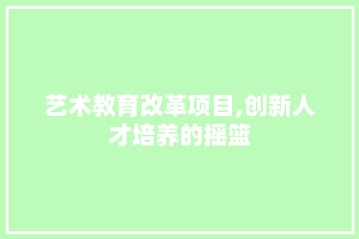 艺术教育改革项目,创新人才培养的摇篮