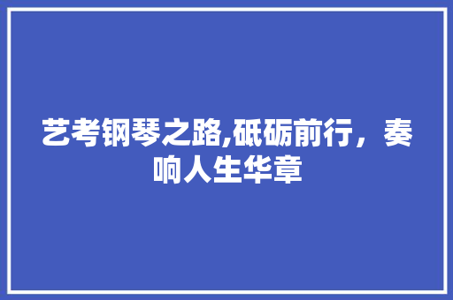 艺考钢琴之路,砥砺前行，奏响人生华章