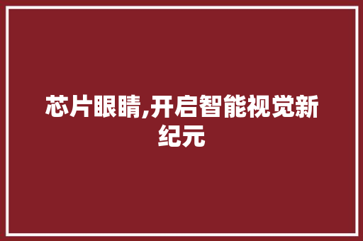 芯片眼睛,开启智能视觉新纪元