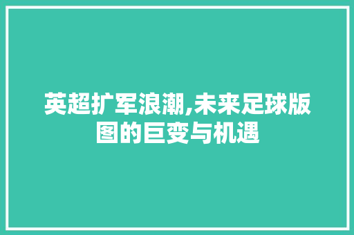 英超扩军浪潮,未来足球版图的巨变与机遇