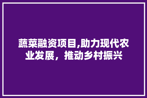 蔬菜融资项目,助力现代农业发展，推动乡村振兴