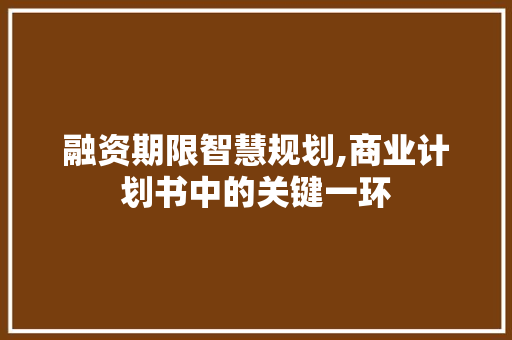 融资期限智慧规划,商业计划书中的关键一环