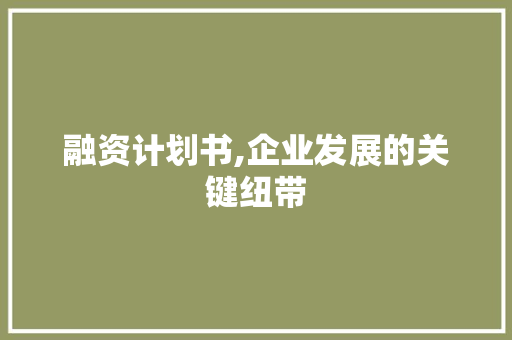 融资计划书,企业发展的关键纽带