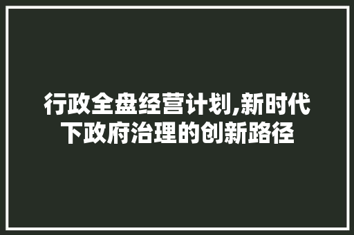 行政全盘经营计划,新时代下政府治理的创新路径