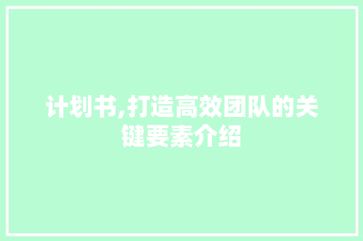 计划书,打造高效团队的关键要素介绍