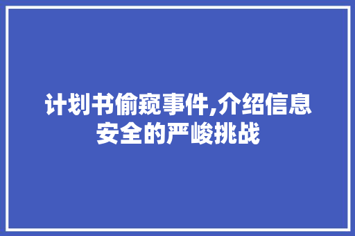 计划书偷窥事件,介绍信息安全的严峻挑战