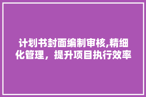 计划书封面编制审核,精细化管理，提升项目执行效率