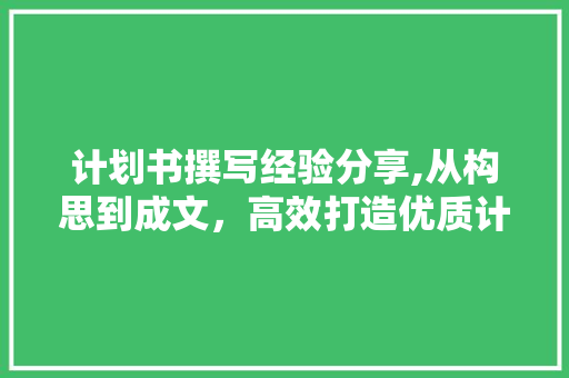 计划书撰写经验分享,从构思到成文，高效打造优质计划书