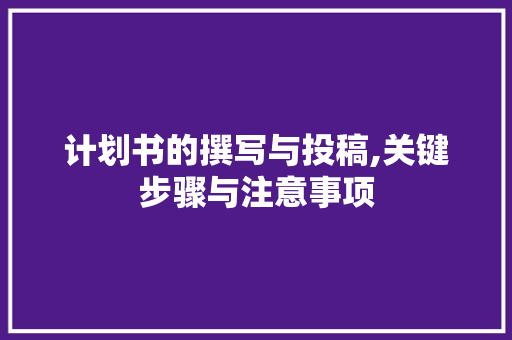 计划书的撰写与投稿,关键步骤与注意事项