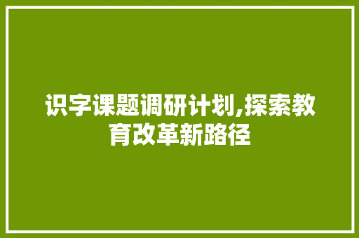 识字课题调研计划,探索教育改革新路径