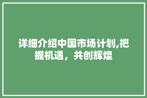 详细介绍中国市场计划,把握机遇，共创辉煌