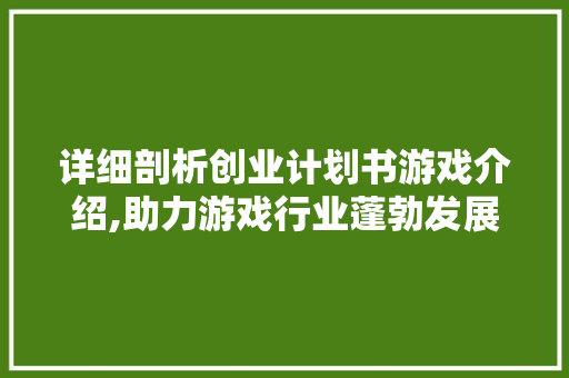 详细剖析创业计划书游戏介绍,助力游戏行业蓬勃发展