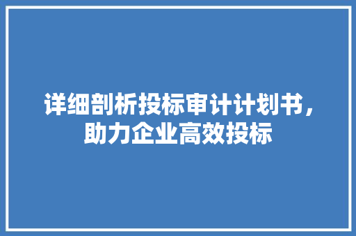 详细剖析投标审计计划书，助力企业高效投标