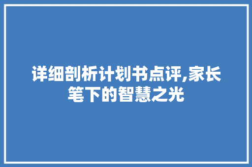 详细剖析计划书点评,家长笔下的智慧之光