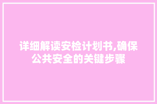 详细解读安检计划书,确保公共安全的关键步骤