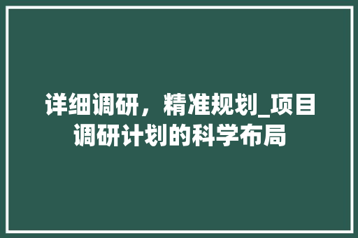 详细调研，精准规划_项目调研计划的科学布局