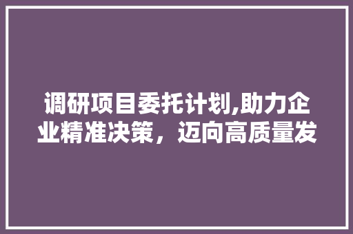 调研项目委托计划,助力企业精准决策，迈向高质量发展