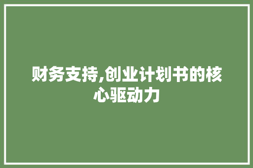 财务支持,创业计划书的核心驱动力