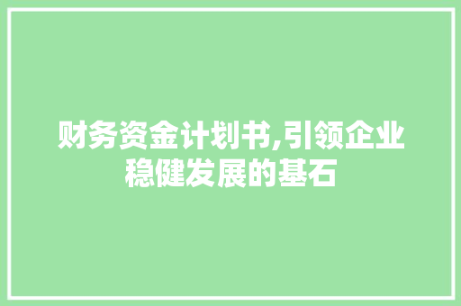 财务资金计划书,引领企业稳健发展的基石