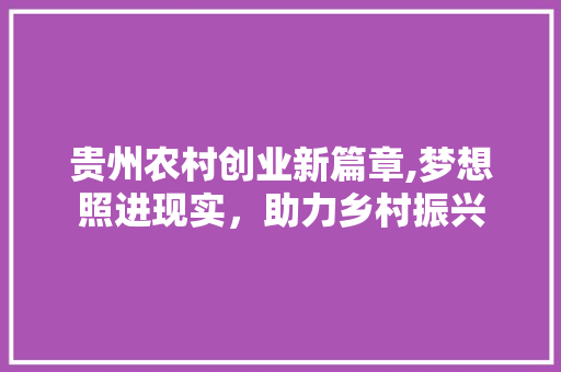 贵州农村创业新篇章,梦想照进现实，助力乡村振兴