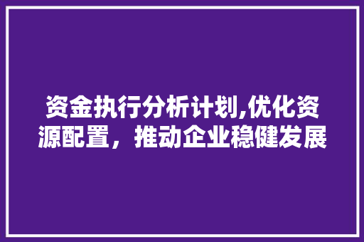 资金执行分析计划,优化资源配置，推动企业稳健发展