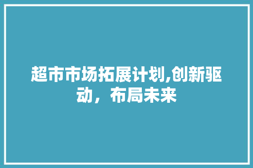 超市市场拓展计划,创新驱动，布局未来