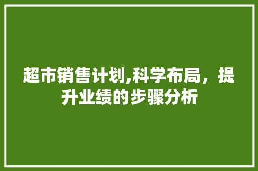 超市销售计划,科学布局，提升业绩的步骤分析