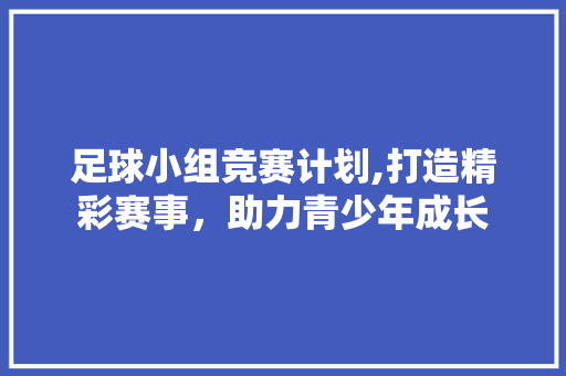 足球小组竞赛计划,打造精彩赛事，助力青少年成长