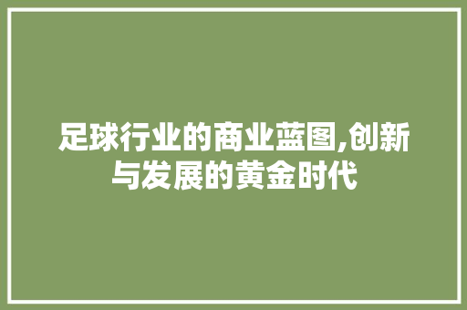 足球行业的商业蓝图,创新与发展的黄金时代