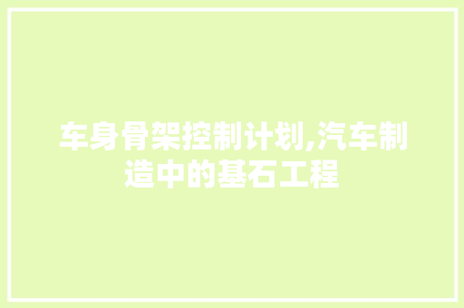 车身骨架控制计划,汽车制造中的基石工程