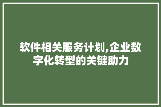 软件相关服务计划,企业数字化转型的关键助力