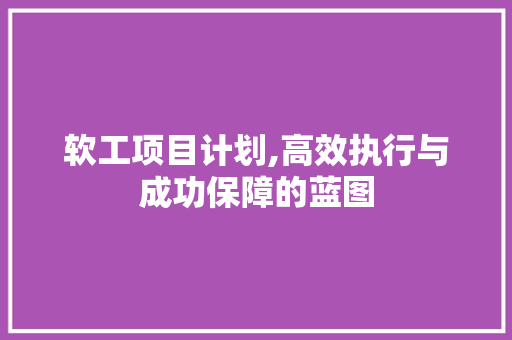 软工项目计划,高效执行与成功保障的蓝图