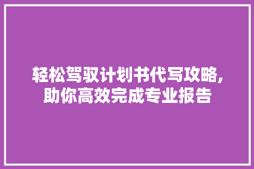 轻松驾驭计划书代写攻略,助你高效完成专业报告