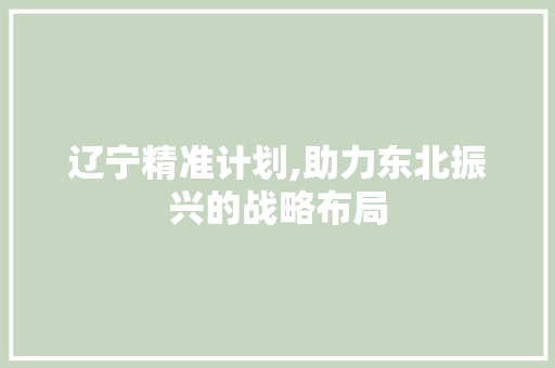 辽宁精准计划,助力东北振兴的战略布局