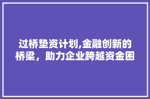 过桥垫资计划,金融创新的桥梁，助力企业跨越资金困境